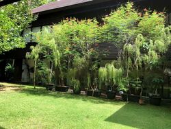 Bukit Timah Estate (D10), Detached #458275441